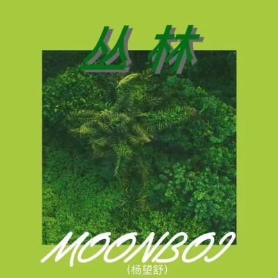 MOONBOI（杨望舒) 丛林