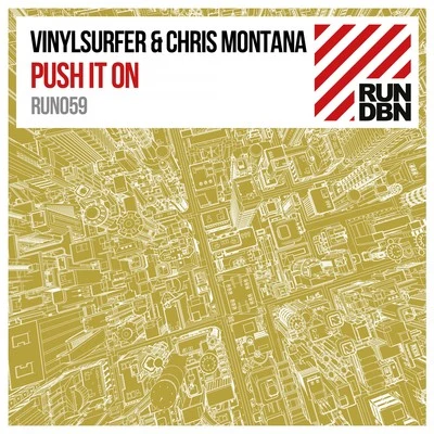 Vinylsurfer Push It On