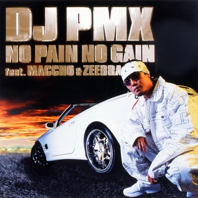 DJ PMX/ZEEBRA/MACCHO NO PAIN NO GAIN