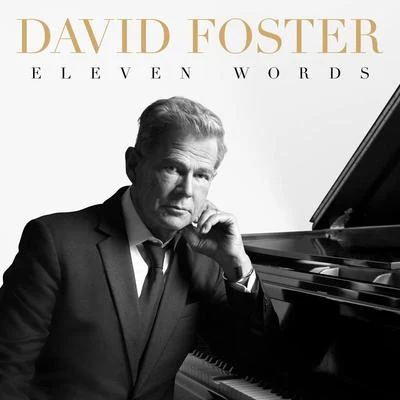 David Foster Eleven Words