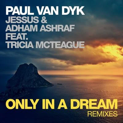 Paul van Dyk Only In A Dream (Remixes)