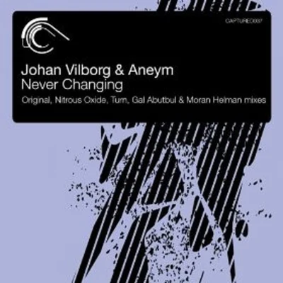 Aneym/Johan Vilborg Never Changing