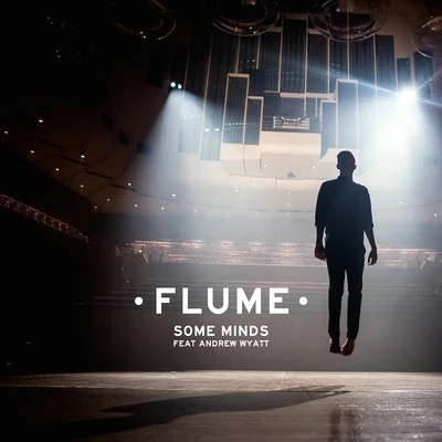 Flume Some Minds