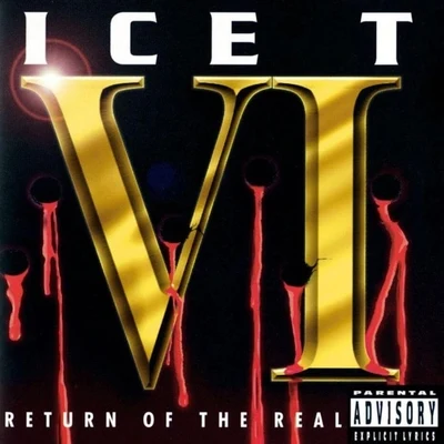 ICE-T VI: Return Of The Real