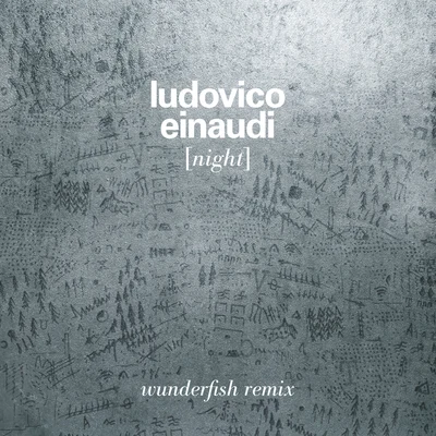 Ludovico Einaudi/Amsterdam Sinfonietta Night (Wunderfish Remix)