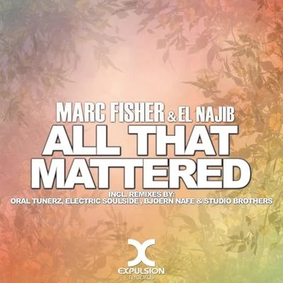 Marc Fisher All That Mattered