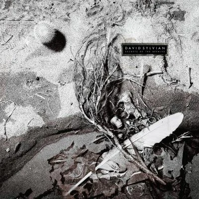 David Sylvian Secrets Of The Beehive (Remastered 2003)