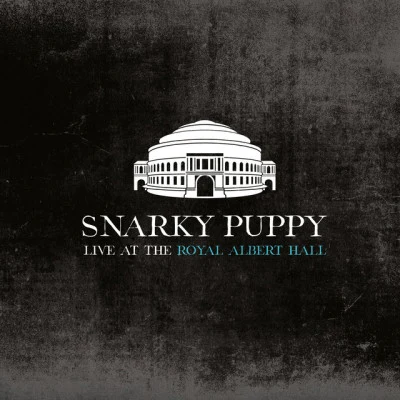 Snarky Puppy Live at the Royal Albert Hall