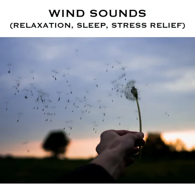 White Noise Radiance/Wind Sounds Wind Sounds (Relaxation, Sleep, Stress Relief)