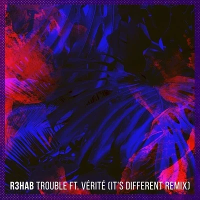 its different Trouble (its different Remix)