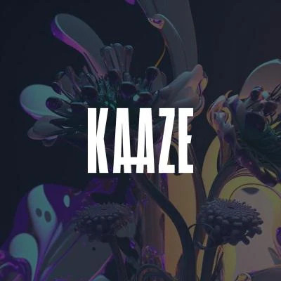 格萊美匯/Taisheng Music Night of Kaaze