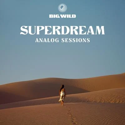 Big Wild No Words (Analog Sessions)