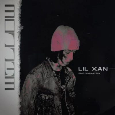 Lil Xan Willow