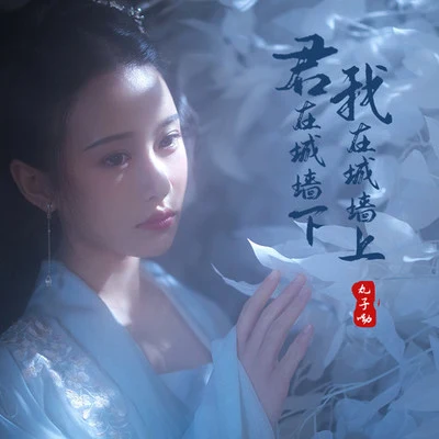 丸子呦 君在城牆下,我在城牆上 (DJheap九天版)