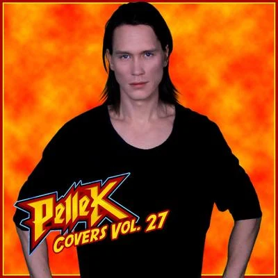 PelleK Covers, Vol. 27