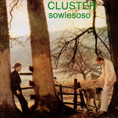 Cluster Sowiesoso