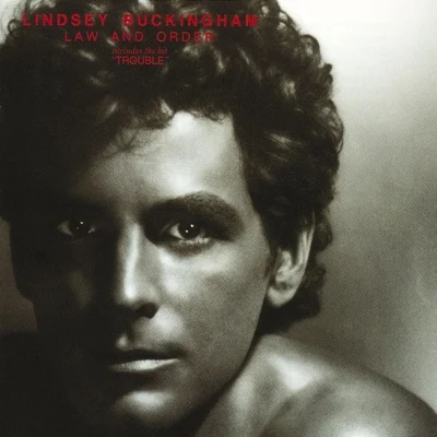 Lindsey Buckingham Law and Order