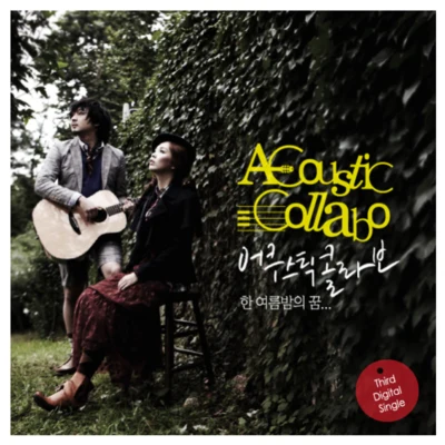 Acoustic Collabo 한여름 밤의 꿈