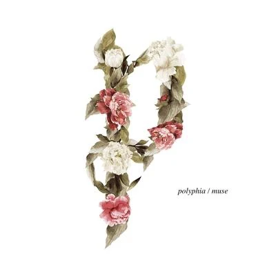 Polyphia Muse