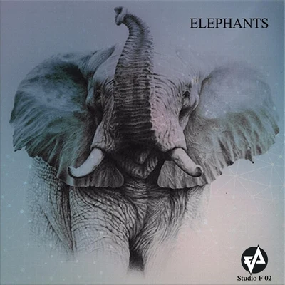 Fabiano Alves Elephants