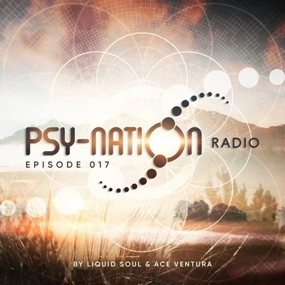 Ace Ventura/Liquid Soul Psy-Nation Radio 017 - By Liquid Soul & Ace Ventura