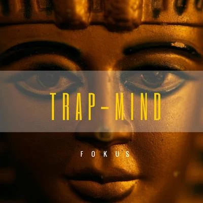 Fokus Trap Mind