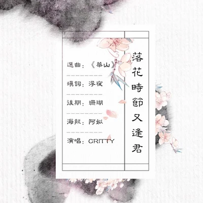 CRITTY 落花時節又逢君