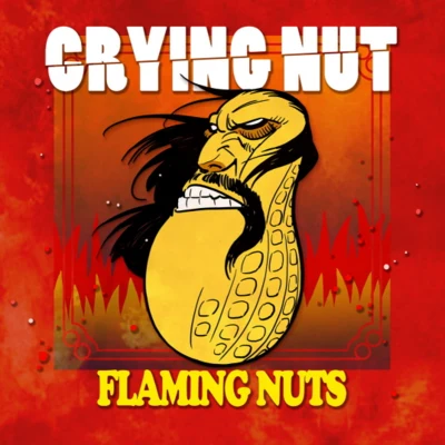 Crying Nut 7집 FLAMING NUTS