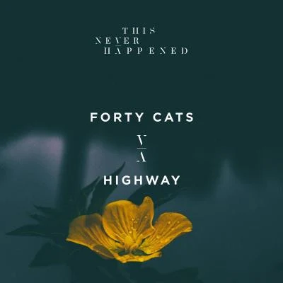 Forty Cats Highway