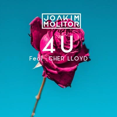 Cher Lloyd/Joakim Molitor 4U