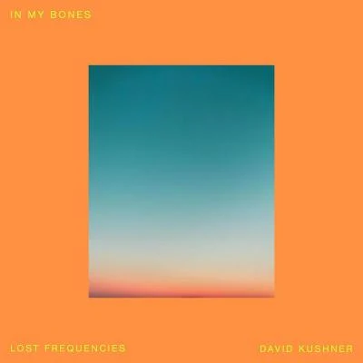 Lost Frequencies/David Kushner In My Bones