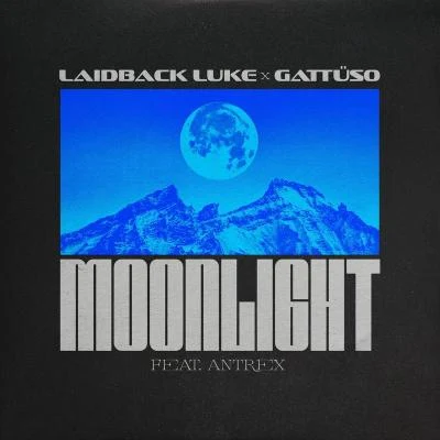 GATTÜSO/Laidback Luke Moonlight