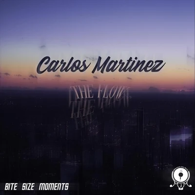 Bite Size Moments/Millennium Jazz Music/Carlos Martínez The Flow