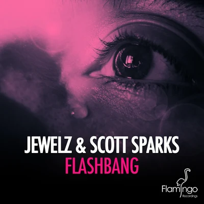 Jewelz/Scott Sparks Flashbang