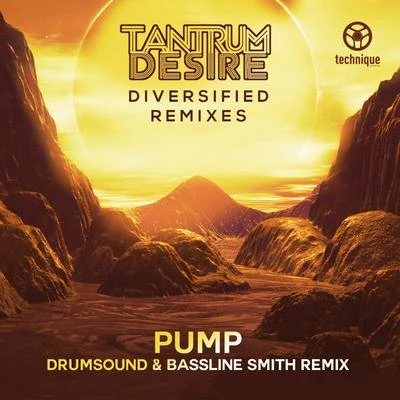 Tantrum Desire Pump (Drumsound & Bassline Smith Remix)