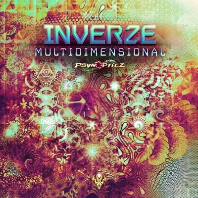 Inverze Multidimensional