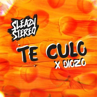 Sleazy Stereo/Diozo Te Culo