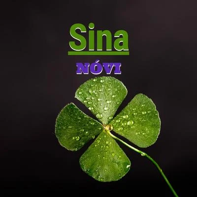 Novi Sina