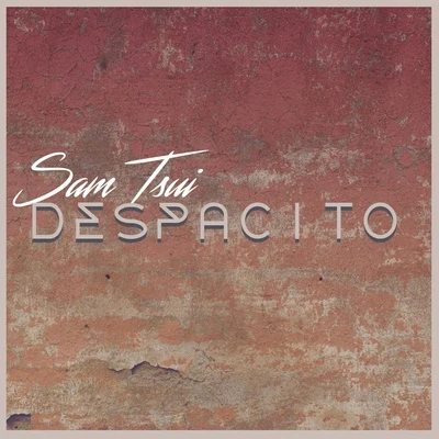 Sam Tsui Despacito