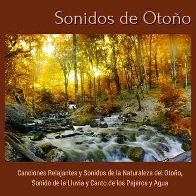 Alma Sonidos de Otoño - Canciones Relajantes y Sonidos de la Naturaleza del Otoño, Sonido de la Lluvia y Canto de los Pajaros y Agua