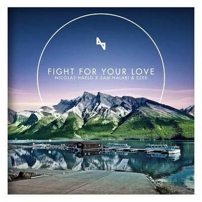 Nicolas Haelg Fight for Your Love