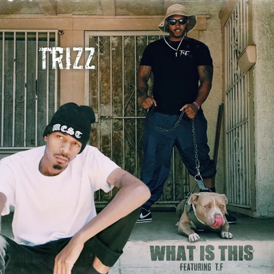 Trizz/T.F What Is This