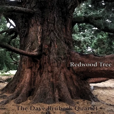 The Dave Brubeck Quartet Redwood Tree