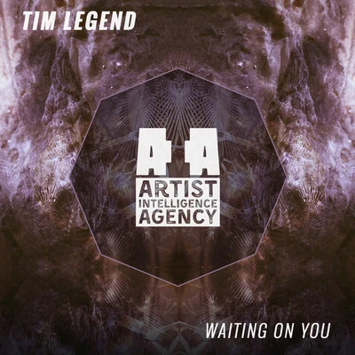 Tim Legend Waiting on You - Single