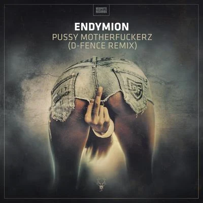 Endymion ***** ************z (D-Fence Remix)