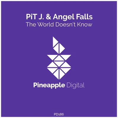 Angel Falls/PiT J. The World Doesn't Know