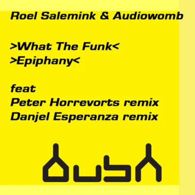 Roel Salemink/Audiowomb What The Funk & Epiphany