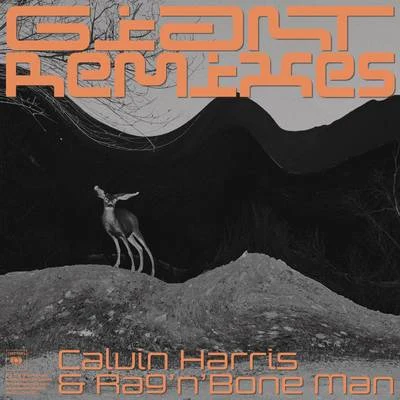 RagNBone Man/Calvin Harris Giant (Remixes)