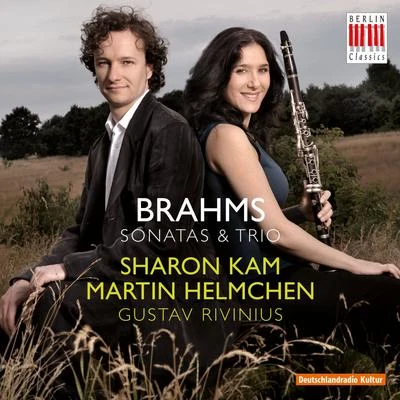 Martin Helmchen Brahms: sonatas trio是