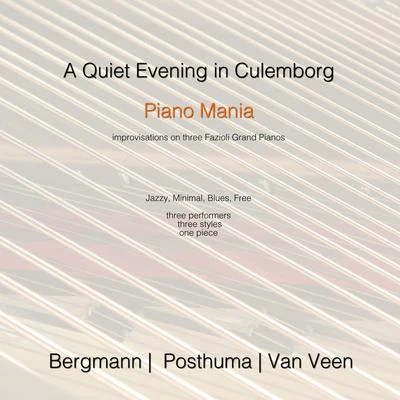 Jeroen van Veen/Marcel Bergmann/Rinse Posthuma A Quiet Evening in Culemborg